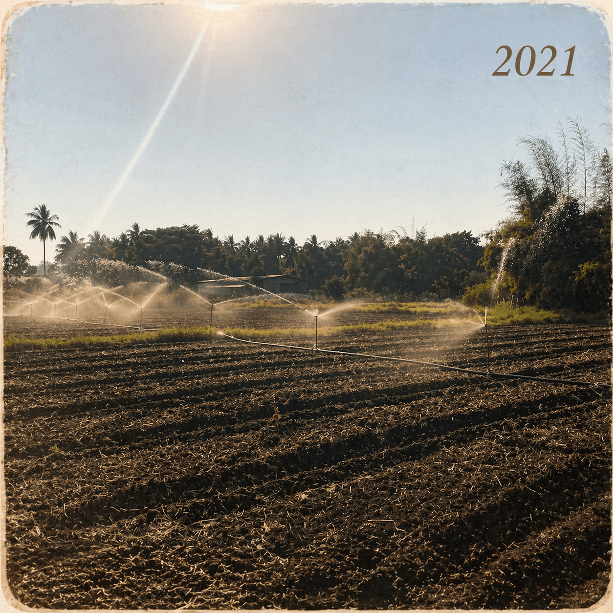 The 13-acre farm near Raipur where it all began