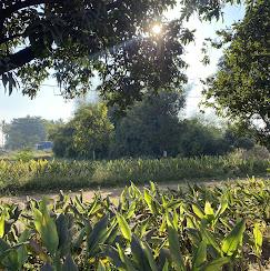The farm in 2024